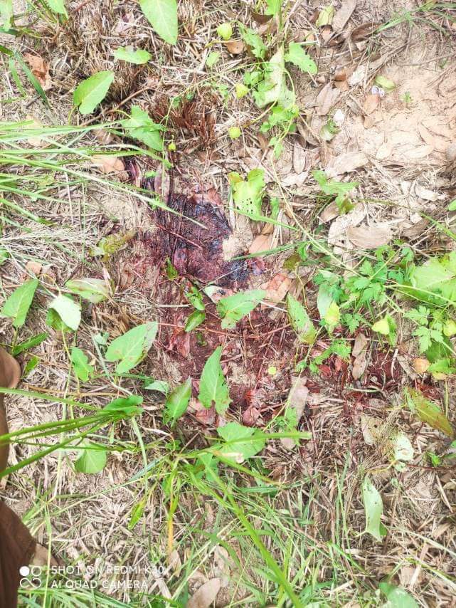 The victim was shot in front of his family

Htee Chaing Township, Katha District, Sagaing Region june 25 Myanmar
#June25Coup #WhatsHappeningInMyanmar 

Source facebook.com/21626518507506…
