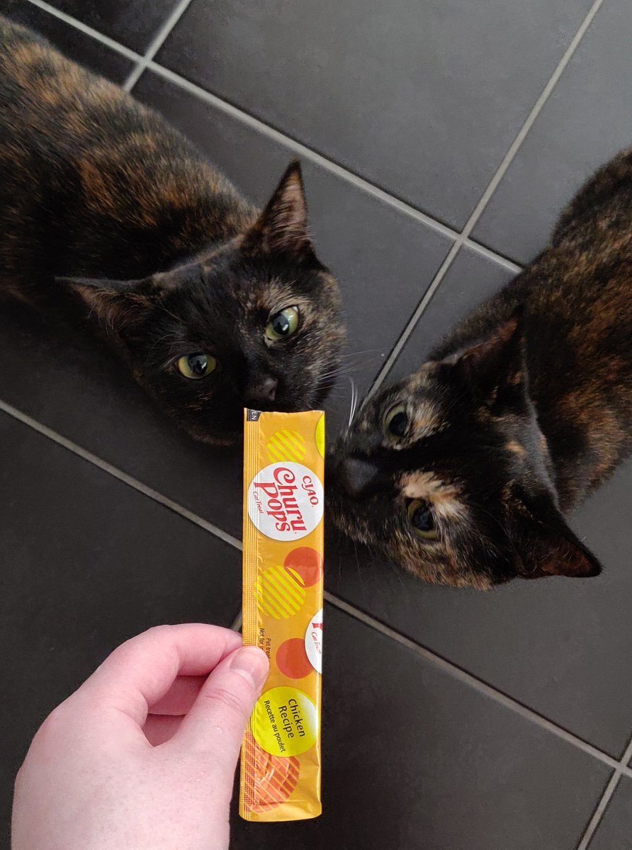 INABA_UK's tweet photo. Sharing is caring😋😻
Would your cat share their churu pops?❤️. Thank you @Meimi132 for the photo😘
#churuuk #inabauk #happycat #hungrycat #treat #CatsOfTwitter #churupops https://t.co/Dojm5WFPJZ