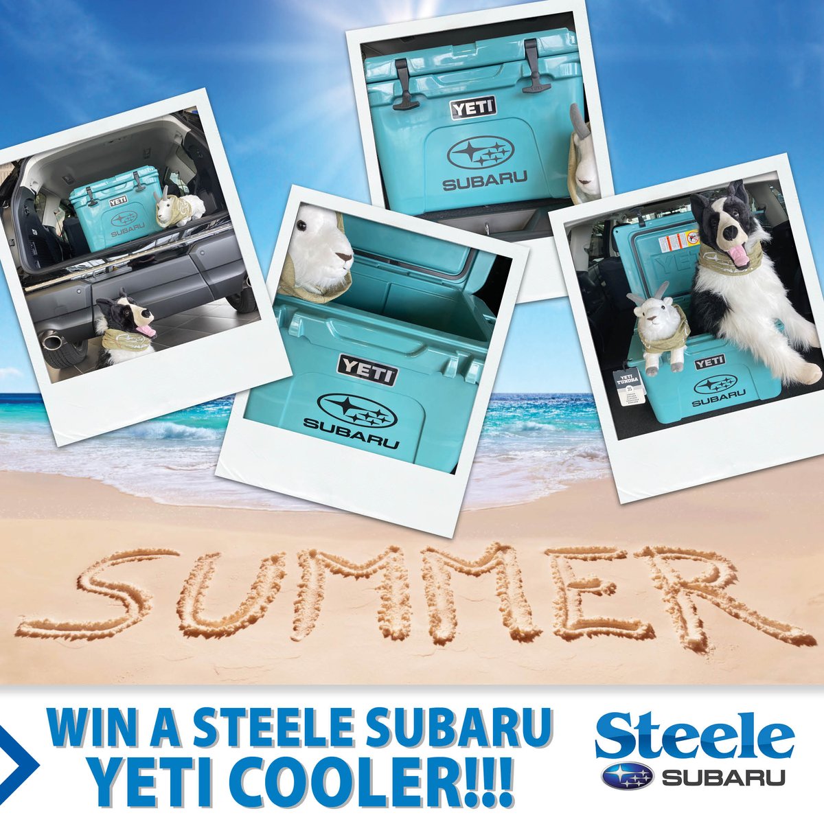 Steele Subaru (@steelesubaru) on Twitter photo 