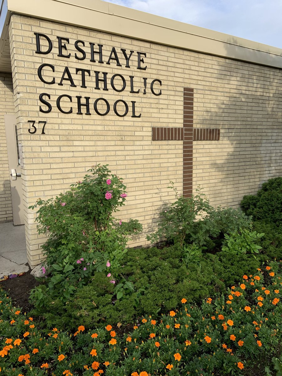 Rieger’sDaytimeFam🔥 tweet media