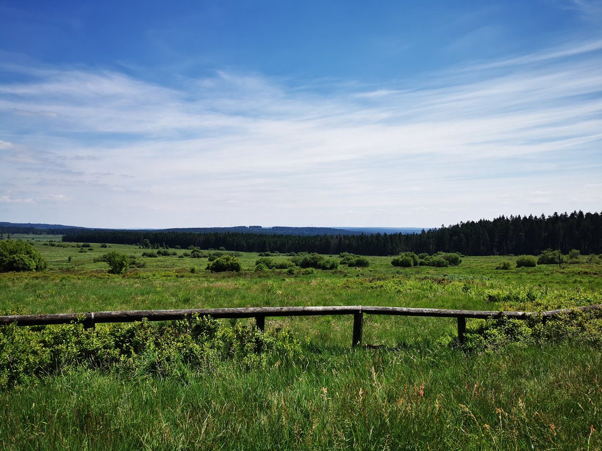 BrittaTabrit's tweet photo. #parcnaturelhautesfagneseifel #hautesfagnes #eifel #highfens #hohesvenn #signaldebotrange #nature #NaturePhotography https://t.co/VJR30VsK5Q