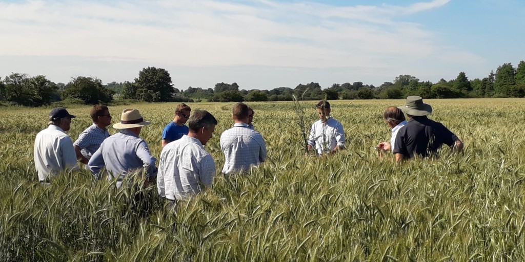 nfusouth's tweet photo. Actual footage of our NFU South West Crops Board geeking out on crops this week in the Cotwolds. Great to be back in person 

#harvest #harvest2021 #nfusouthwest #crops #cropsboard #nfucrops #nfumembers #cotswolds #gloucestershire #glos https://t.co/EiMqjpMbYD