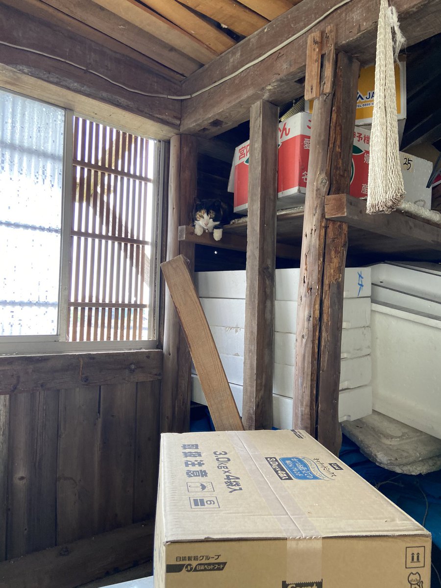 たかはしあきこ Akikoart12 Twitter