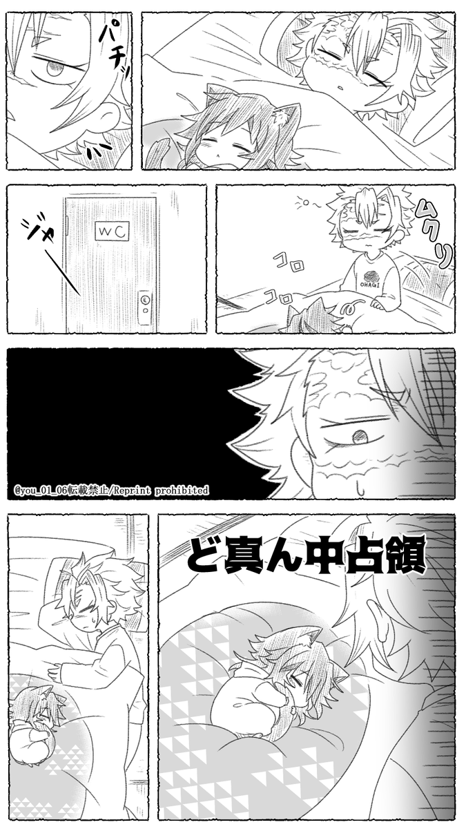 🐈あるある
🌊🐈化
さねぎゆ 