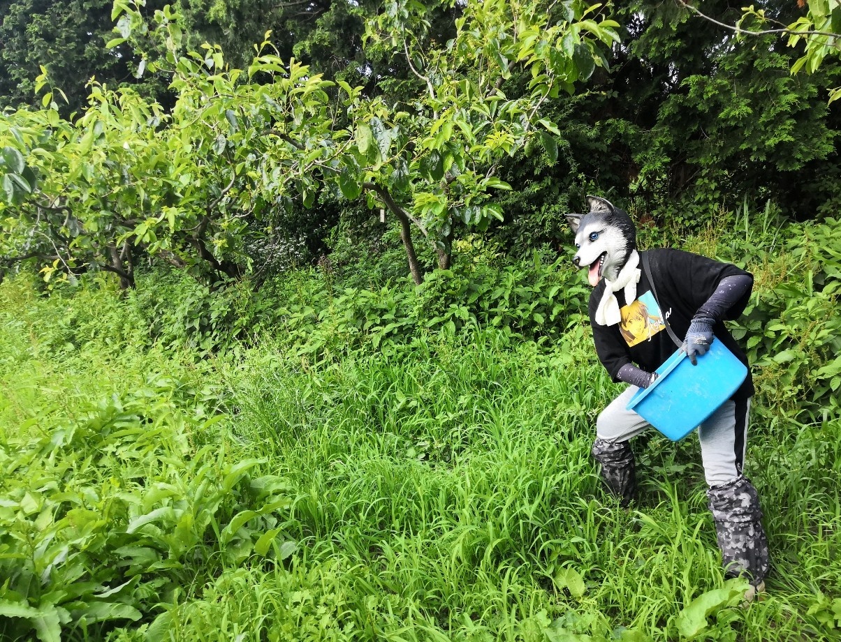 有機石灰 Twitter Search Twitter