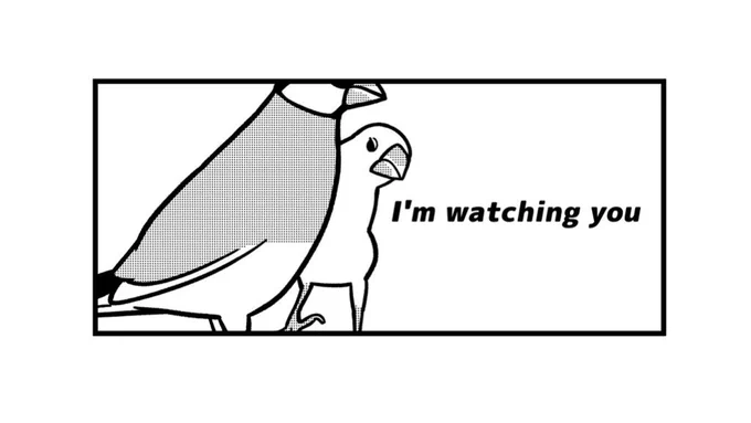 文鳥は言いました
I'm watching you 