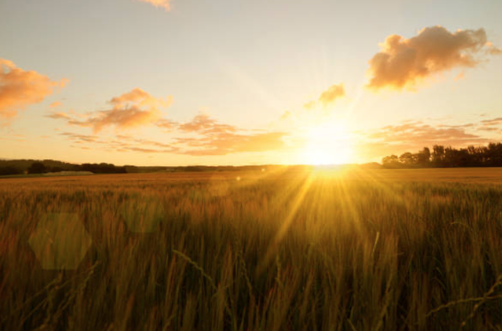 "Let yourself be silently drawn by the stronger pull of what you really love." 
                                                 ~  Rumi