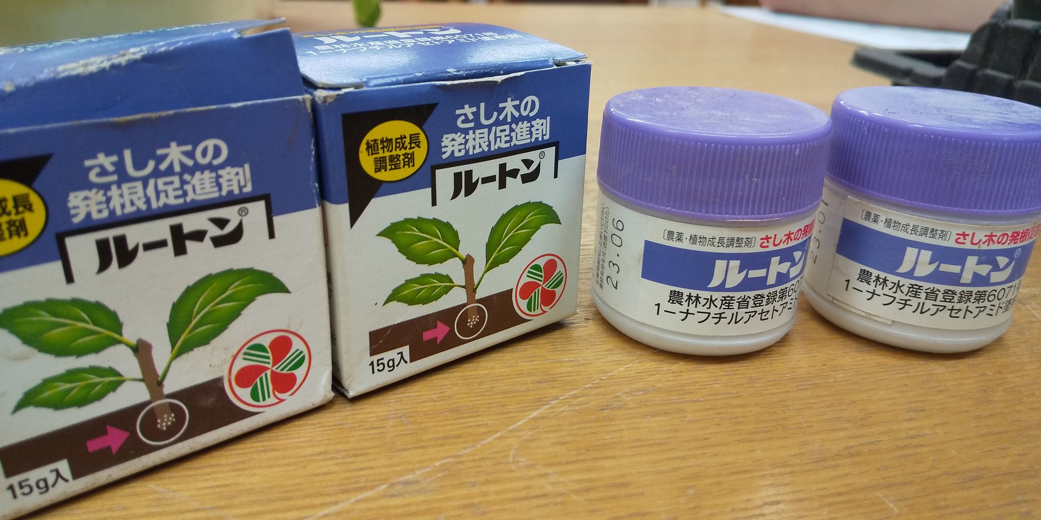 挿し木 Twitter Search Twitter