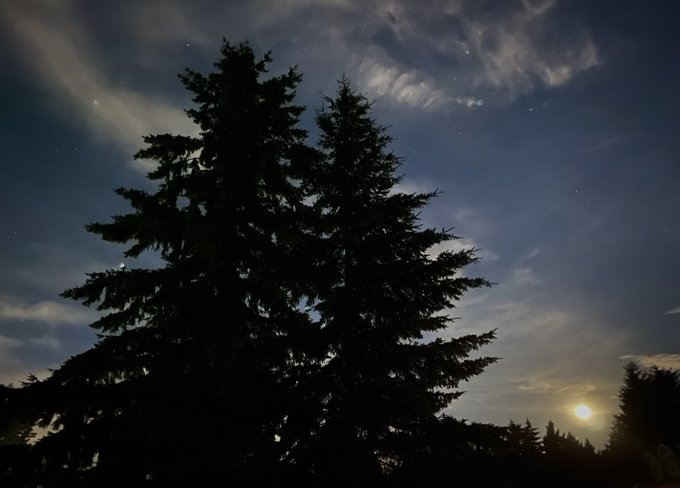 Watch kitty ♡'s leaked NSFW photo on TwXstars