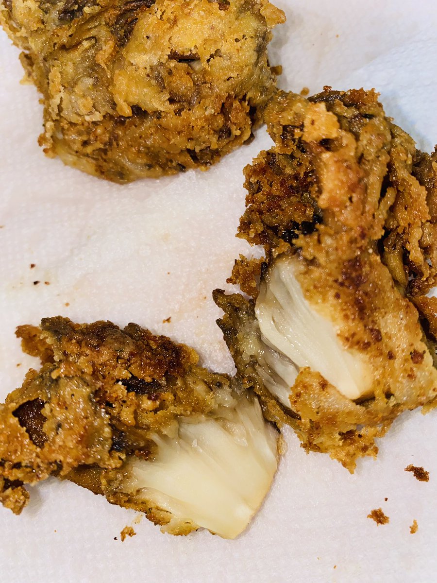OSSOVeganISH's tweet photo. I’ve been perfecting my organic vegan “chicken” &amp;&amp; “crab cake” recipes 🤤 🍄 😋 https://t.co/lc59eHqIcw