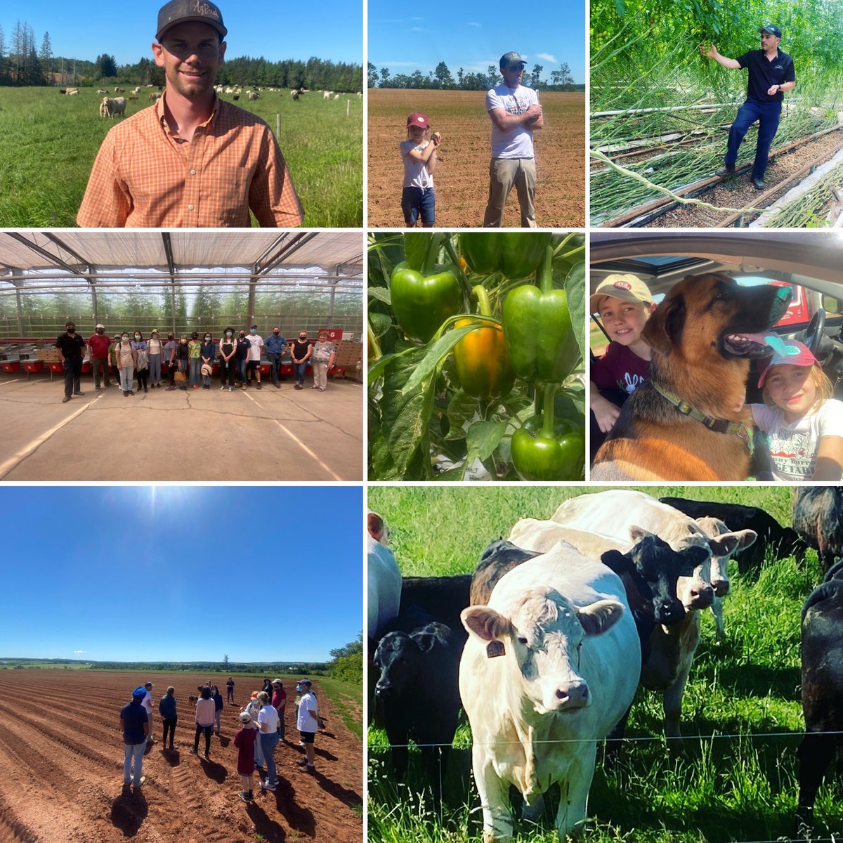 Farm & Food Care PEI tweet media