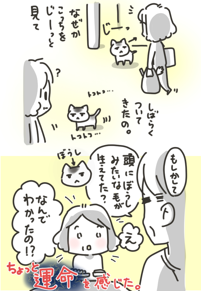 #挨拶365
#6月ねこねこマンガ 25/30

猫のまめもち
出会いの章②
2人のデジャブ

今日もおつカレー🍛です。
#まいどな漫画大賞2021 