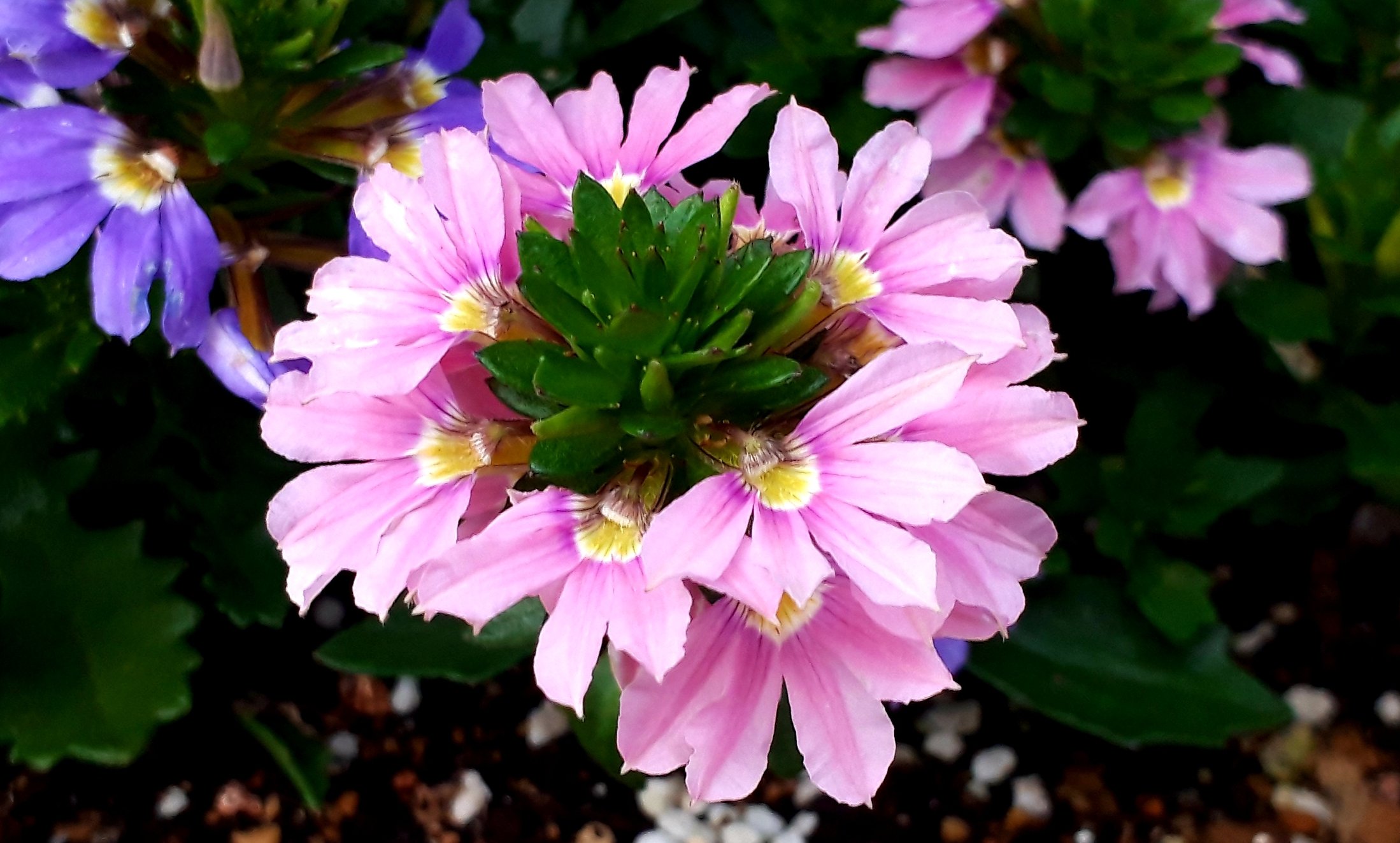 サンクエール Twitter Search Twitter