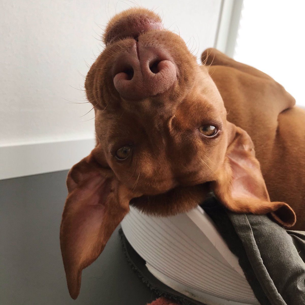 Whatcha doin’?