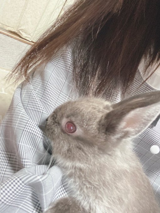 Twitterのコスプレ画像34