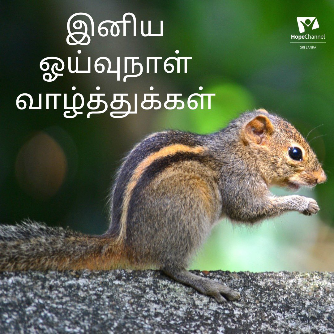 Happy Sabbath Hope Channel family! 

#HopeforSriLanka #HappySabbath #Beblessed #praiseGod #Hope