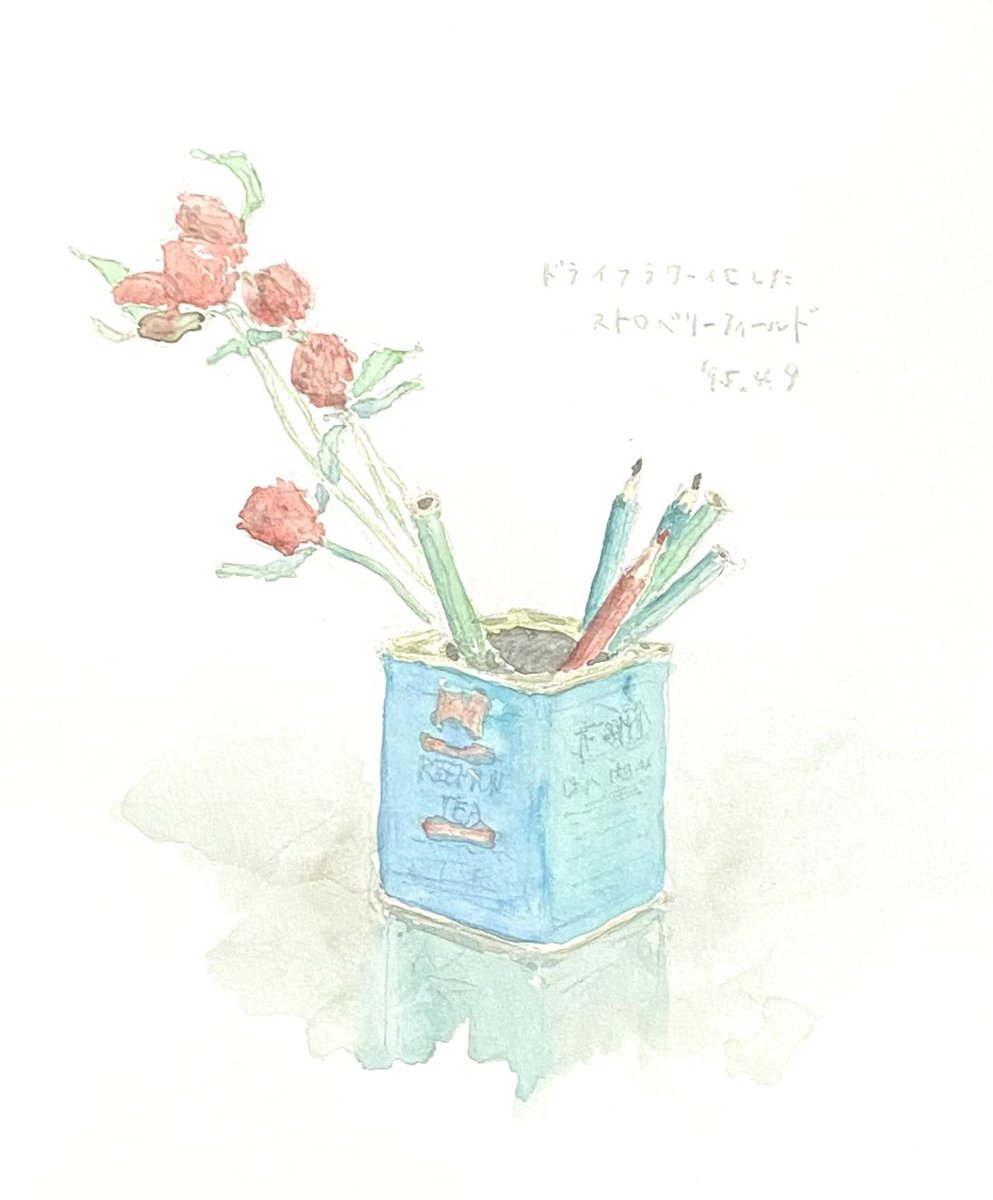 「ストロベリーフィールドっていう花です。日本風にいうとキバナセンニチコウ

なんか」|詩月あき_しづきあきのイラスト