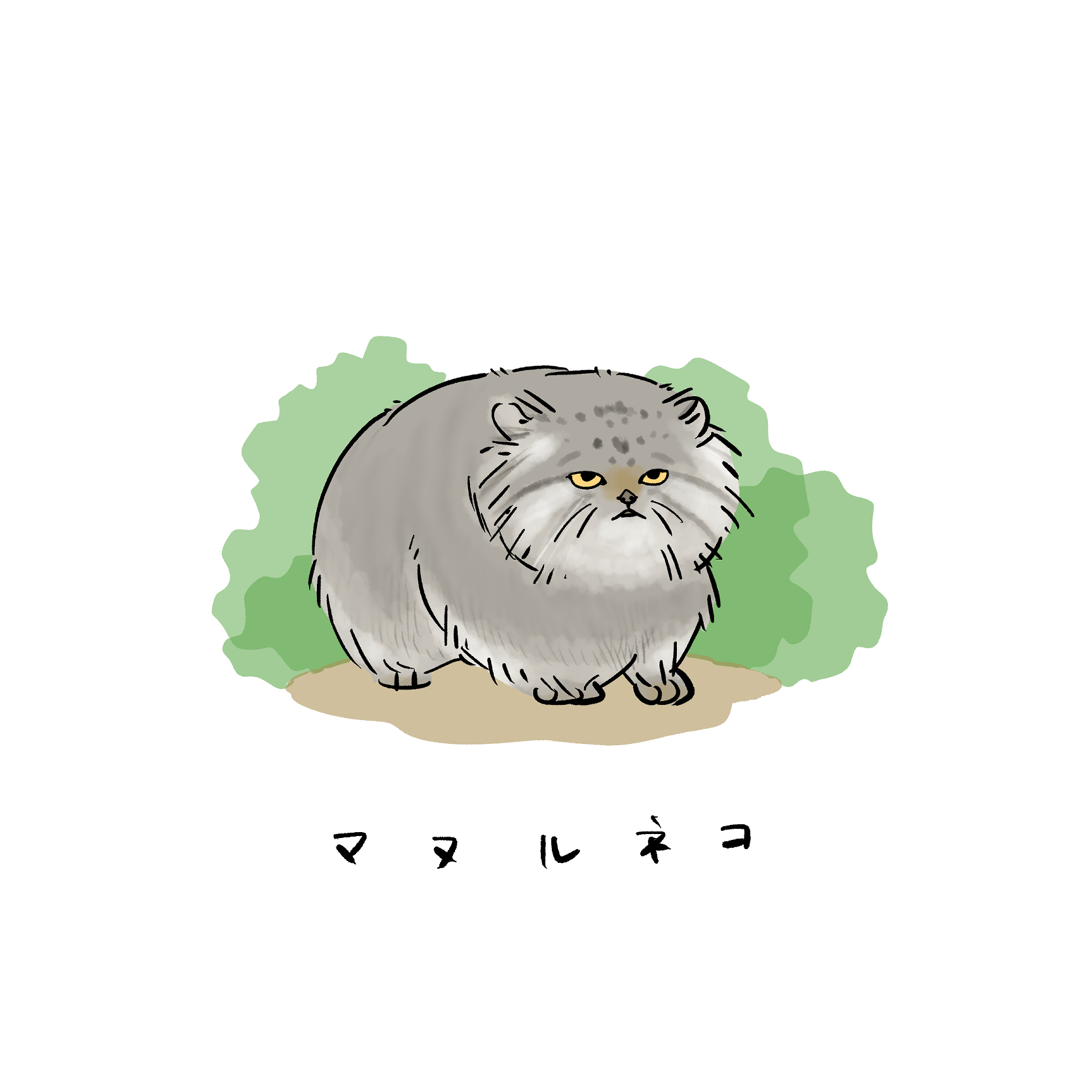 たこ かっこよく描いても可愛く描いてもブサイクになるマヌルネコ 本物はかわいい マヌルネコ イラスト Illustration T Co Fwwh5w1xqz Twitter たこ かっこよく描いても可愛く描いてもブサイクになるマヌルネコ 本物はかわいい マヌルネコ イラスト Illustration T Co Fwwh5w1xqz Twitter