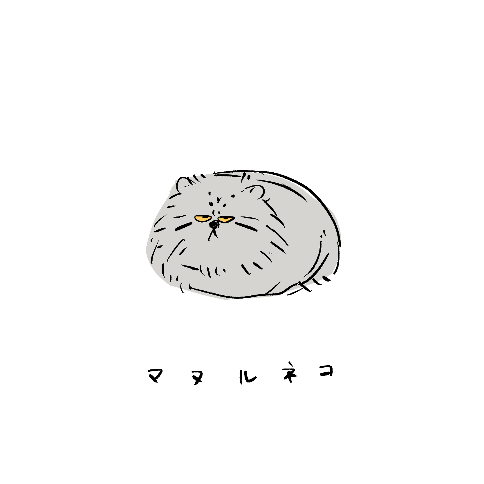 たこ 在 Twitter 上 かっこよく描いても可愛く描いてもブサイクになるマヌルネコ 本物はかわいい マヌルネコ イラスト Illustration T Co Fwwh5w1xqz Twitter