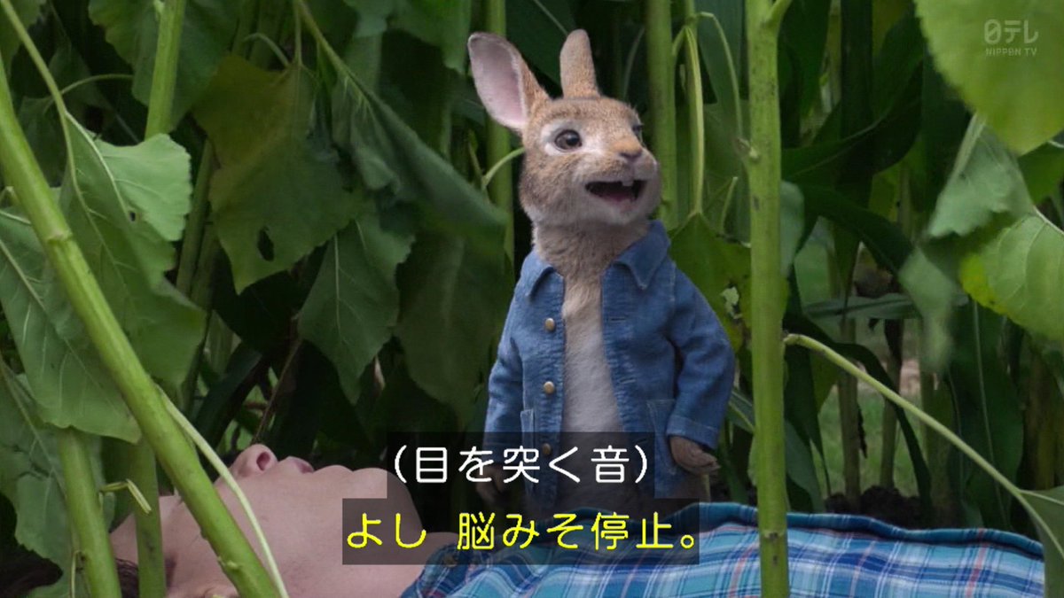 金ローで映画 ピーターラビット が放送され盛り上がるtl 思考がヤクザ 邪悪 Togetter 金ローで映画 ピーターラビット が放送され盛り上がるtl 思考がヤクザ 邪悪 Togetter