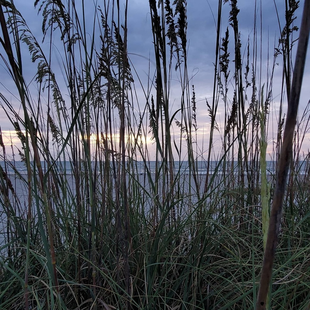 Eric_Larkin's tweet photo. Kinda cool for a Florida summer morning...77ยฐ at sunrise...purple & gray clouds... light breeze...slight chop on the ocean...AND it's Friday๐.
.
#cocoaBeach #cocoabeachflorida #cocoabeachinsider #whybrevard #purpleclouds #grayclouds #beachwalk #beachโฆ https://t.co/CE1y5uAIl0 https://t.co/JeXDp5uLKz