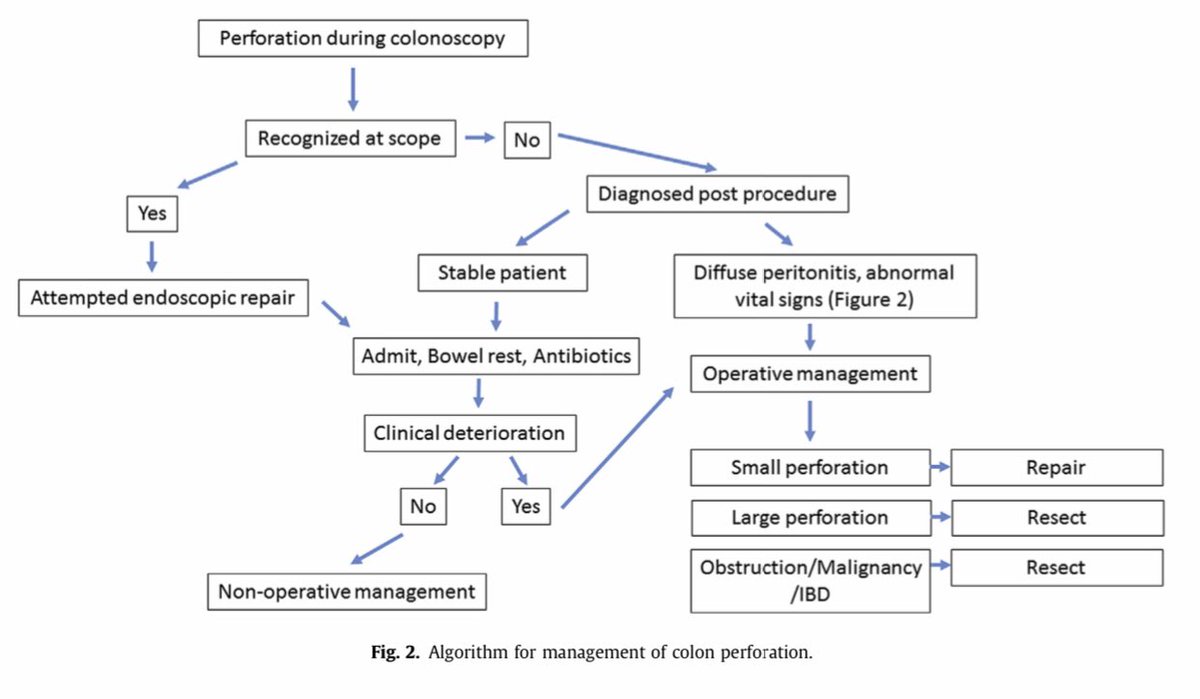 Management of colonoscopic perforations: A systematic review and algorithm for management ⤵️ 🔪 🧍‍♂️💥! #SoMe4Surgery <a href="/herbchen/">herb chen</a> <a href="/pferrada1/">Paula Ferrada MD FACS FCCM MAMSE</a> <a href="/PipeCabreraV/">Dr Luis Felipe Cabrera Vargas MD FACS</a> @cirbosque <a href="/SocietyofBAS/">Society of Black Academic Surgeons</a> <a href="/DChu80/">Daniel I-Hsin Chu | 朱以信</a> <a href="/SWexner/">Steven D Wexner MD, PhD</a> <a href="/juliomayol/">Julio Mayol</a> @MISIRG1 <a href="/BrenessaL/">Brenessa Lindeman, MD, MEHP</a> <a href="/WomenSurgeons/">WomenSurgeons</a>