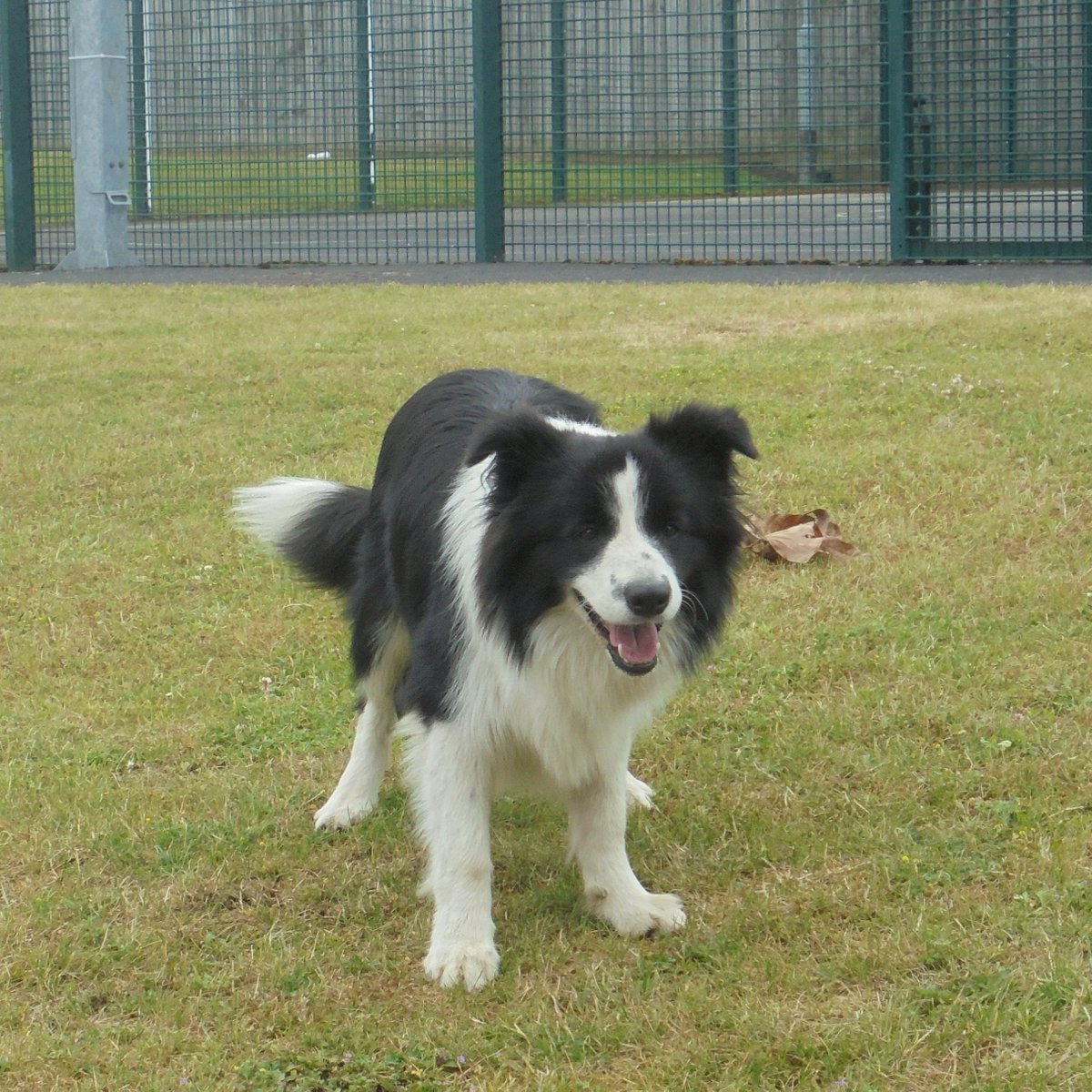 Lptagnesunit Lptagnesunit Twitter Lptagnesunit Lptagnesunit Twitter