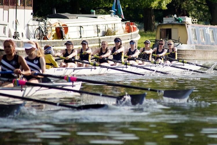 Newnham College Boat Club tweet media
