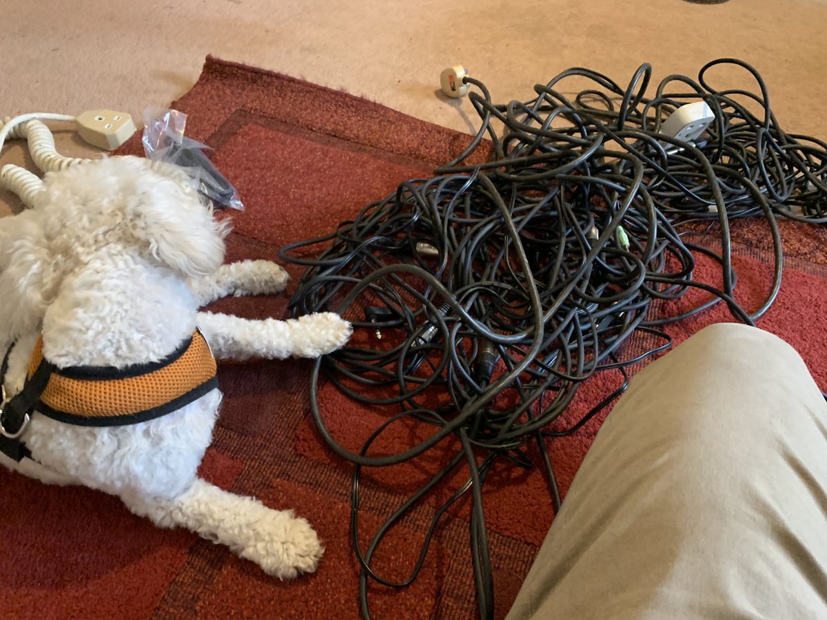 revhannaha's tweet photo. Why yes, I do have Friday night plans! #Untangling
PS. The baby is in bed. Otherwise he’d be having a field day! https://t.co/0oAJJrqs8M