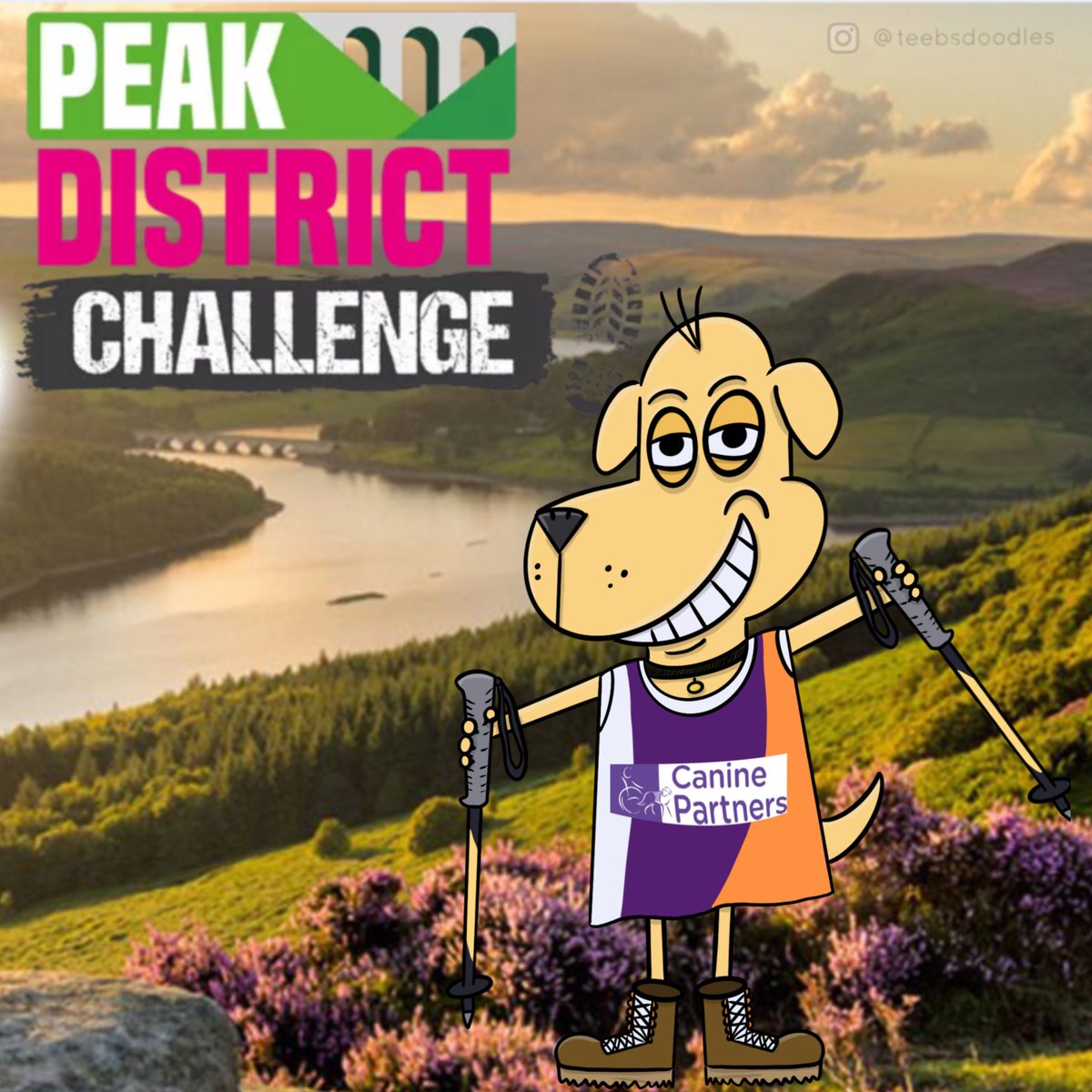 🐕🥾Next weekend I will be attempting to complete the Peak District Challenge (walking 100km over two days) in memory of David Statham, who sadly lost his life earlier this year. 

We will be raising money for a @caninepartnersuk.