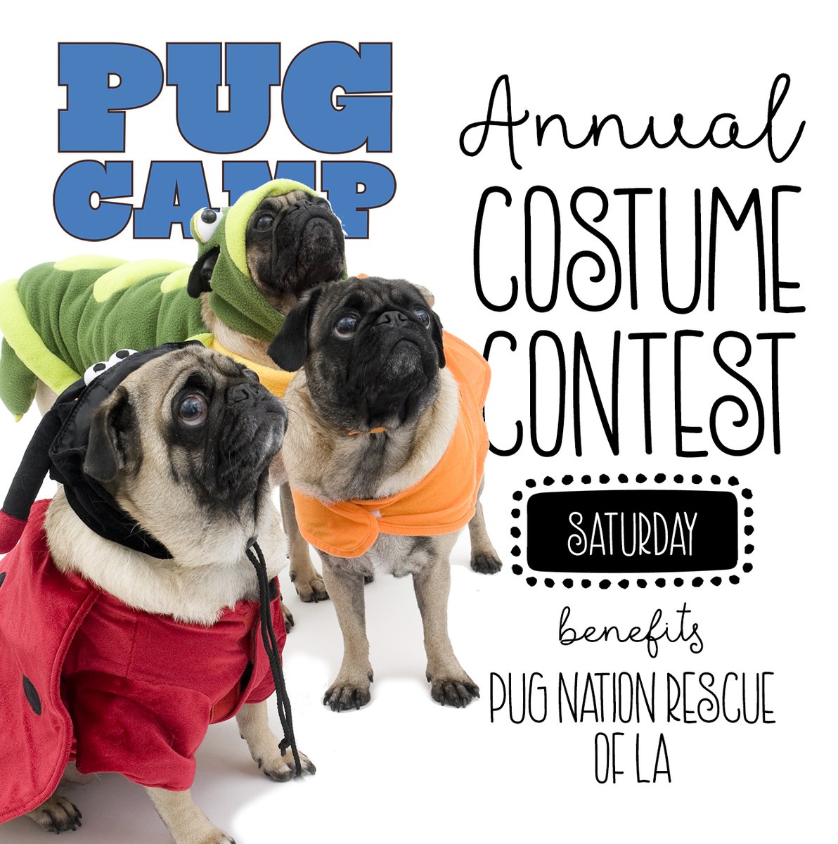 pugcamp's tweet image. Pug Camp 2021 schedule is almost set, but one event that has become a tradition is the Annual Costume Contest that benefits @PugNationRescue - we can't wait to see what you all come as!! #pugcamp2021 #pugcamp #pugfun #puglife