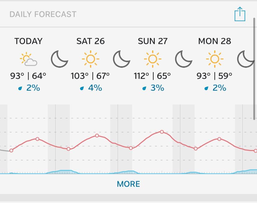 BeaverTurfLab's tweet image. Unprecedented heat this weekend in the PNW has our risk of dollar spot and anthracnose high 🥵 Try not to get behind on those spray intervals! Moisture meters will be key this weekend to keep things going and avoid pushing areas towards Pythium risk.