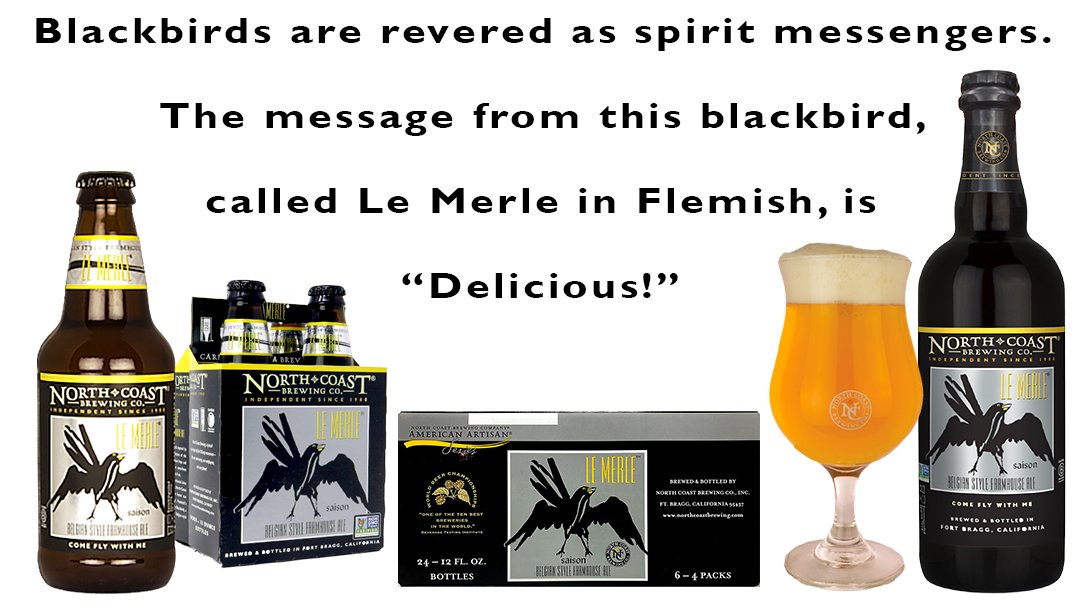 NoCoastBrewCo's tweet photo. Le Merle is a rustic ale, pale in color, inspired by the rich brewing traditions of the Flanders region. Abundant hops and a Belgian yeast strain contribute exotic aromas of tropical fruit.
#lemerle #farmhouseale #bcorp #craftbeer #independentbeer #zerowastecertified #cheers https://t.co/tRzA8dIFdl