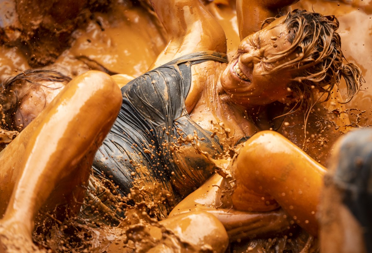 Andrew Dye tweet media