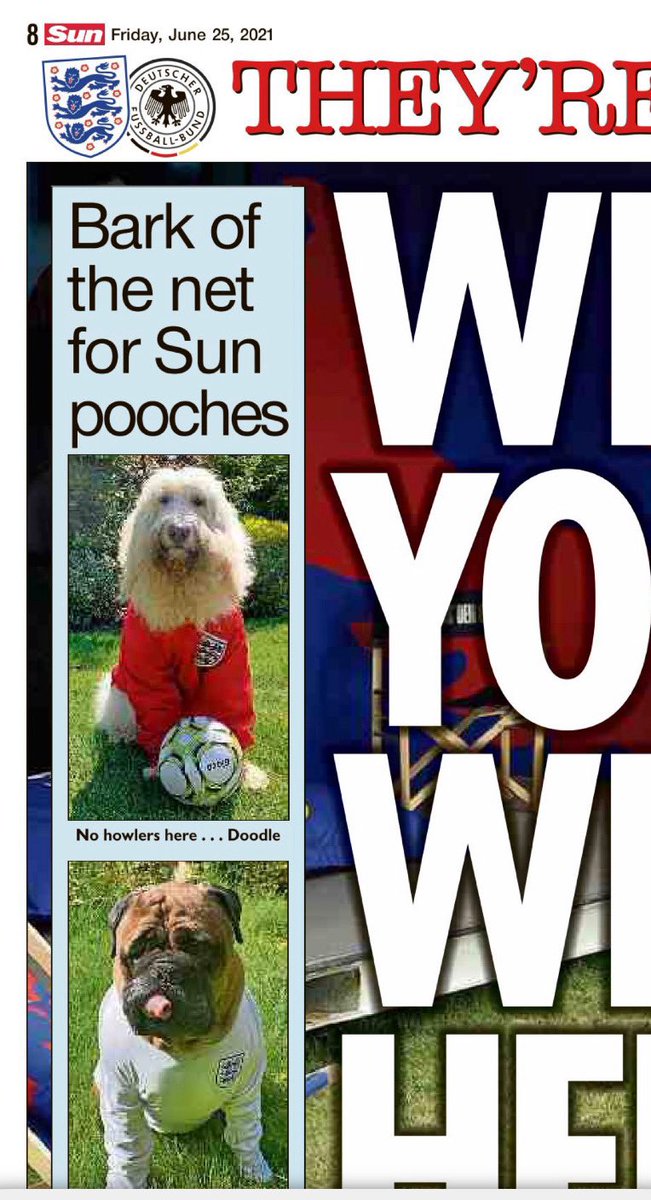 The Sun laddar inför England vs. Tyskland. Eller: läsarna ska ladda med sina hundar i matchtröja. 