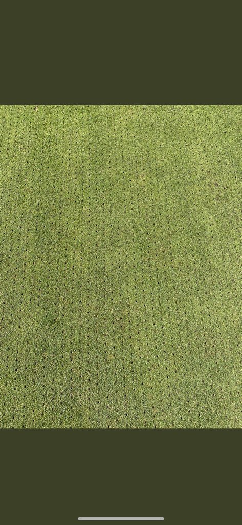 Redlibbets Greenstaff tweet media