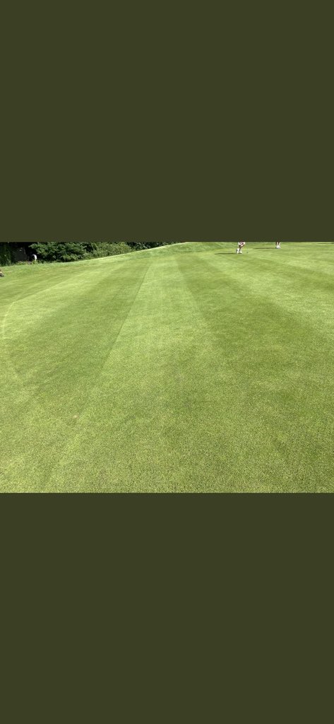 Redlibbets Greenstaff tweet media