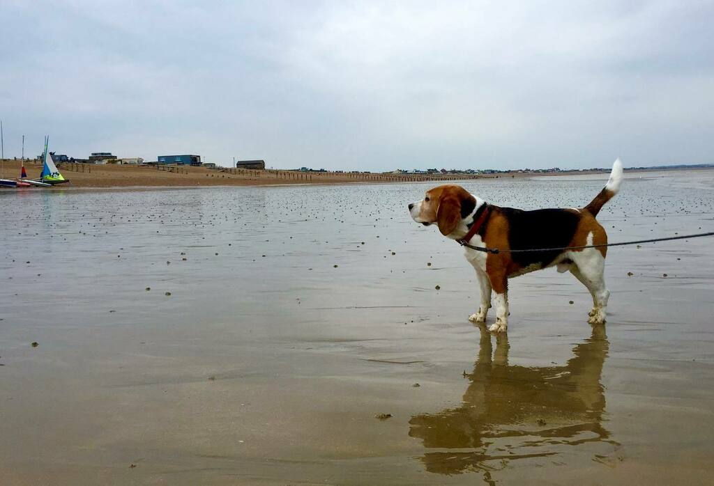 My Instagram feed has been as empty as this beach over the last few months. Hoping to change that now that the world is starting to reopen and life is getting interesting again 😂 Hope you all have a lovely Friday evening and enjoy the weekend ahead 👍… instagr.am/p/CQjWa7BHJpn/