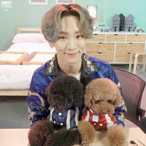 missalicehc's tweet photo. Cualauier foto de Kibum con sus bebés me re puede 
 #ThanksSHINee #샤이니 #SHINee https://t.co/TfUoYnmBNP