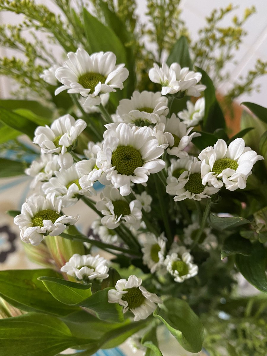 CaryTheClick's tweet image. What a lovely surprise!  Yesterday I went to @WyedeanSchool to talk to a lovely bunch of students about photography as a career, and today this lovely bunch arrived…thank you, @Wyedean_Art, that’s two days you’ve brightened!