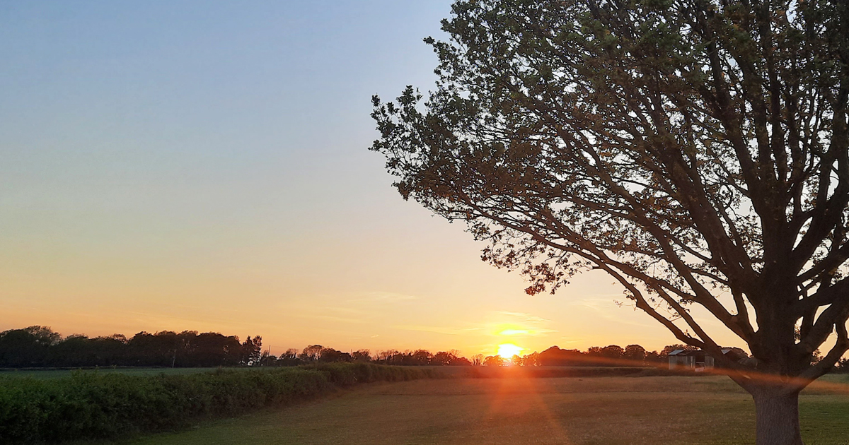 Wallops_Wood's tweet photo. Spectacular views β
Gorgeous countryside β
Beautiful walks β
Amazing sunsets β
.
We've got it covered at Wallops Wood Cottages π
.
#HolidayCottageWithPool #holidaylodgehampshire #selfcateringcottages #countrysidelife #accessibleaccommodation https://t.co/NVf2PgztLm