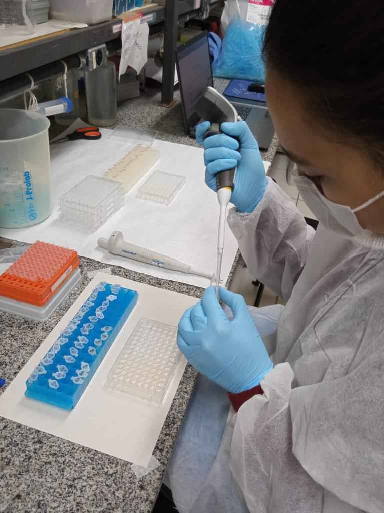 ufmg's tweet photo. Kit diagnóstico para covid-19 criado na UFMG é mais barato e favorece a testagem em massa.

A pesquisa foi desenvolvida no Instituto de Ciências Biológicas e contou com a participação de outras instituições brasileiras. 

Siga o fio! 🧶 https://t.co/7kefR6GYEM