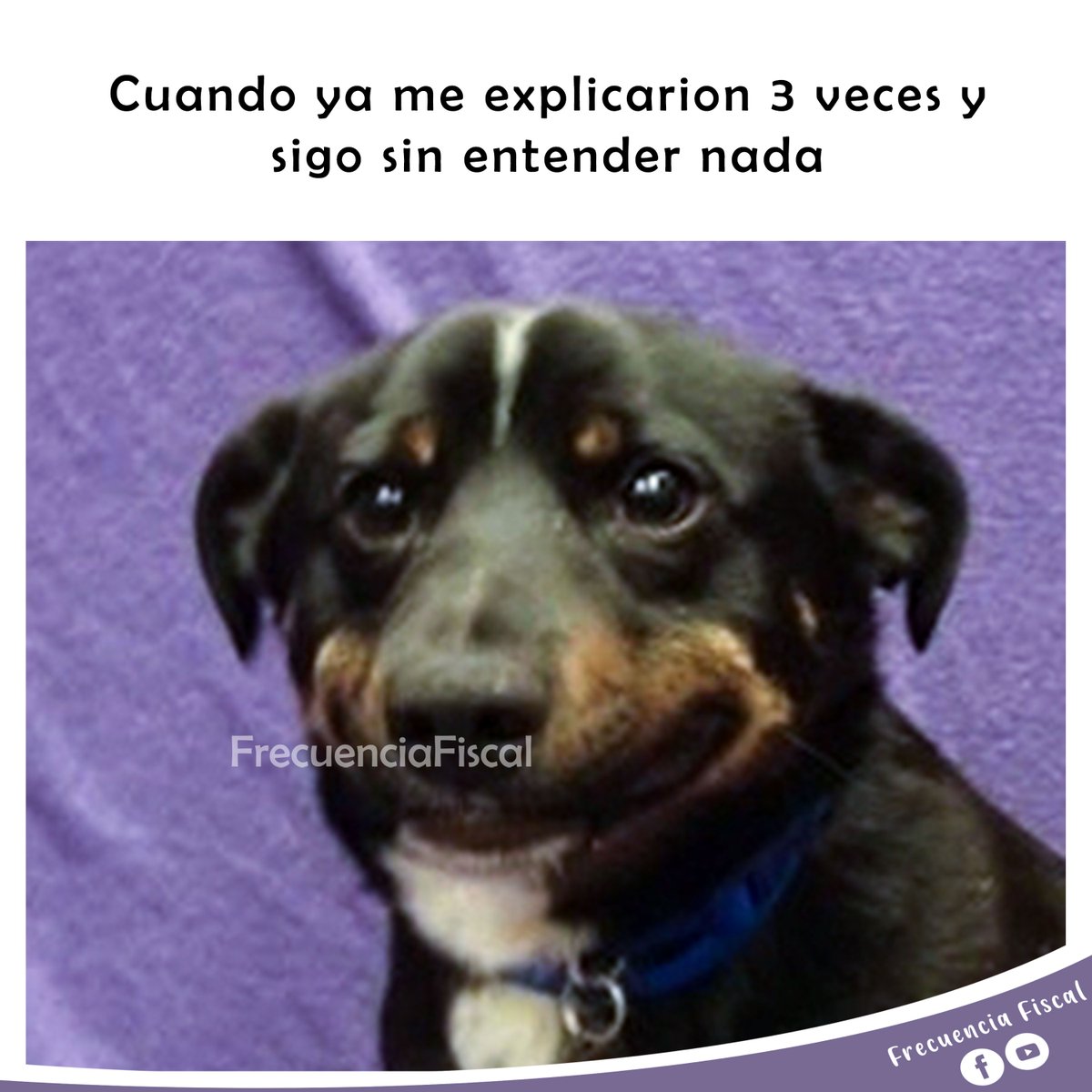 frec_fiscal's tweet photo. #contadores #sat #trabajo #nervioso #duda #estudiante

Síguenos en:
Spotify: Frecuencia Fiscal
Facebook: https://t.co/bU9Ofh0usw
YouTube: https://t.co/bKln65z99g
Instagram: https://t.co/QXBS4sRMv9 https://t.co/ZRQRBOHe9L