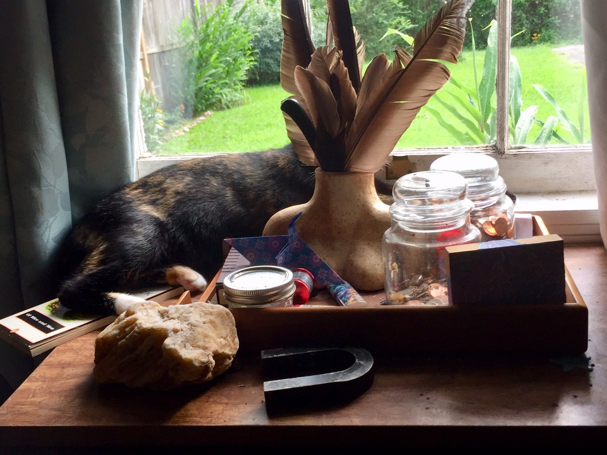 rescuecatlife's tweet photo. Magritte kitty #featherhead #cat https://t.co/jGwRxtjRXf