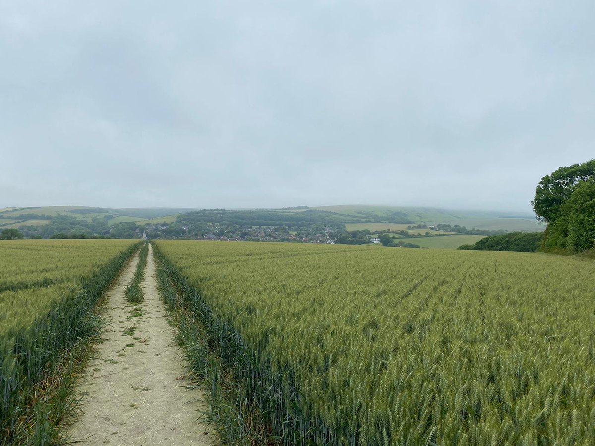 Duke of Edinburgh | Box Hill School tweet media