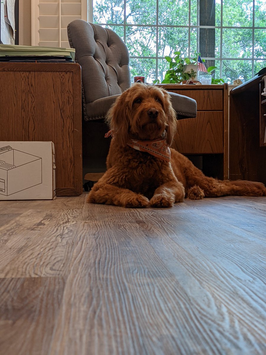 GRPitcherOficial tweet media