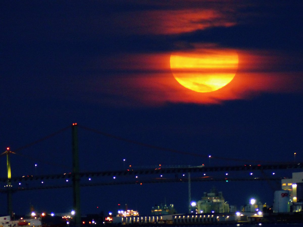 So lucky to catch from my balcony the Strawberry Moon, the last supermoon of 2021 over the Mackay Bridge!