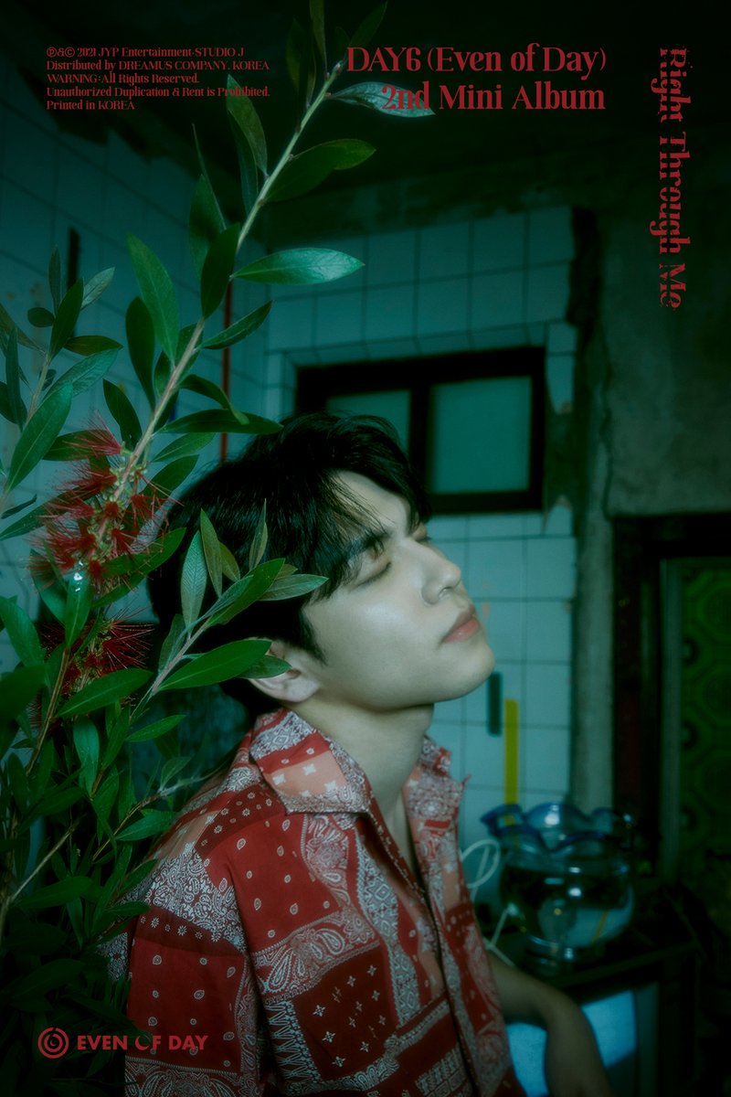 jypnation's tweet photo. DAY6 (Even of Day)
<Right Through Me>
Concept Image #원필

2021.07.05 6PM (KST)
💘 TITLE "뚫고 지나가요"

#DAY6 #데이식스
#Even_of_Day #WONPIL
#Right_Through_Me
#뚫고_지나가요
#JYP https://t.co/kAvk8iRWSe