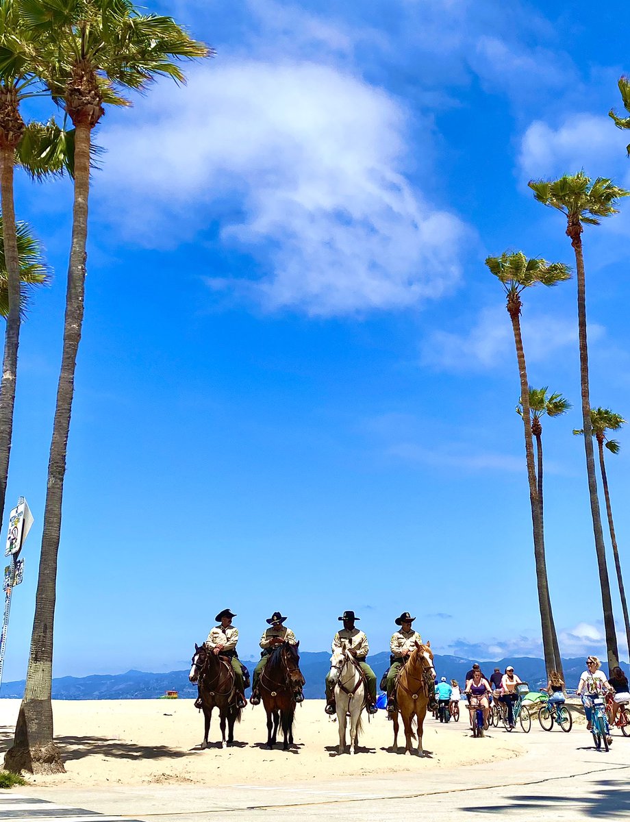 VeniceIntel's tweet photo. Restoring Law & Peace for V E N I C E
@LACoSheriff @LASDHOST
#venice #ofw #lacountysheriffs
#lasdhost #venicebeach #cd11 https://t.co/JIU4LDwsnM