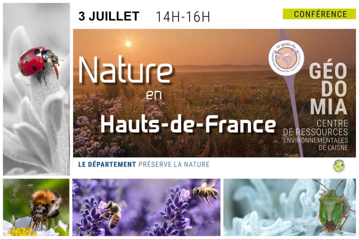 PatNat_HdF's tweet photo. ⏰RDV chez Géodomia dans l'Aisne, le 3 juillet pour une conférence sur la #biodiversité dans les #HautsdeFrance, animée par l'ORB HdF. Gratuite et ouverte à tous ! 
🔔Dernières places disponibles, faites vite !
#nature #patrimoinenaturel  #environnement 
👇https://t.co/R0irZEOw15 https://t.co/lD1gRmGdS0